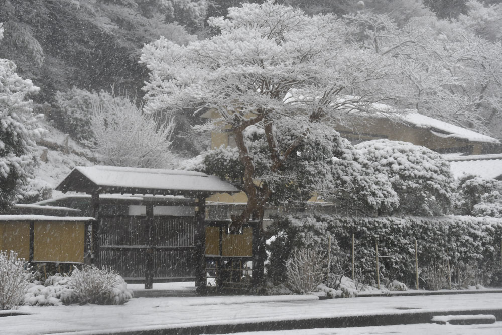 Schnee in Kamakura