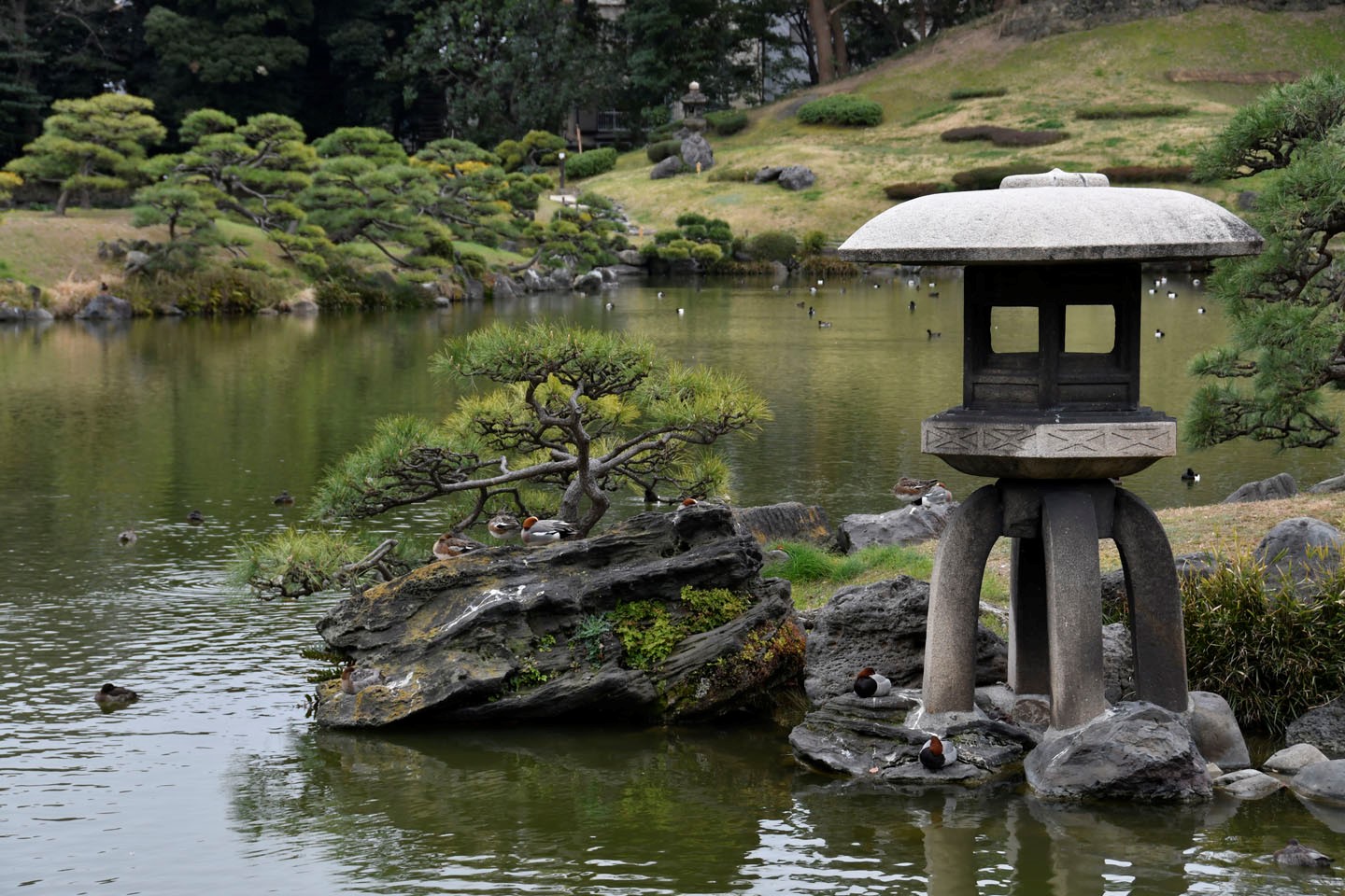 Japanischer Garten im Kiyosumi-Park