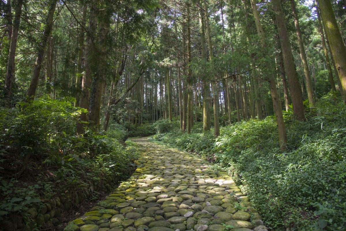 Waldweg auf der Tōkaidō-Strecke