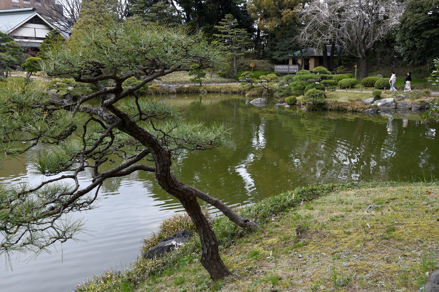 Japanischer Garten im Kiyosumi-Park