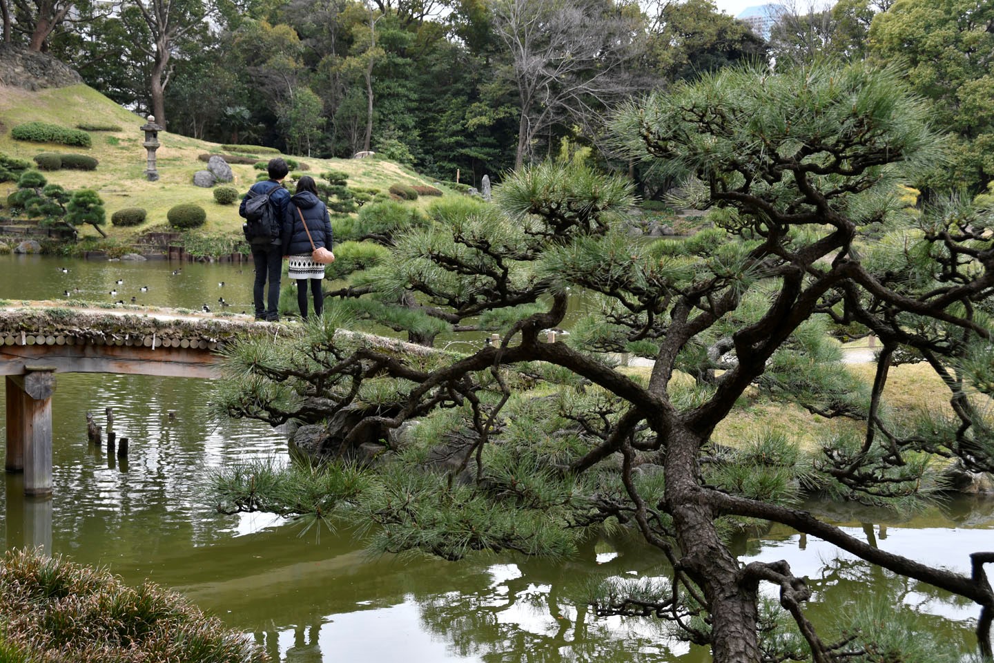 Japanischer Garten im Kiyosumi-Park