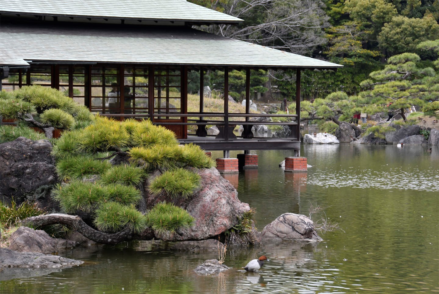 Japanischer Garten im Kiyosumi-Park