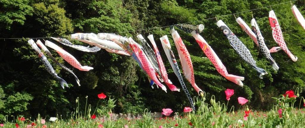 Koi-Flaggen im Blumenpark in Yokosuka