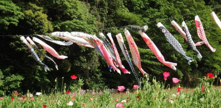 Koi-Flaggen im Blumenpark in Yokosuka