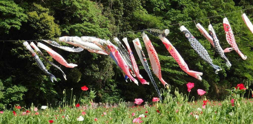 Koi-Flaggen im Blumenpark in Yokosuka