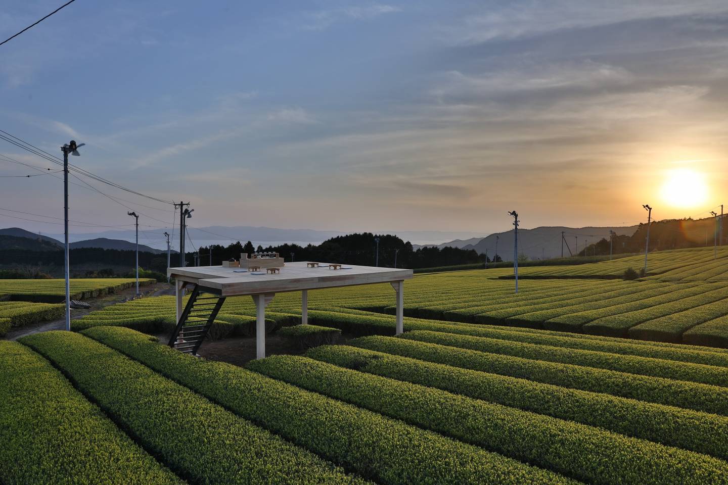 Tea Tower auf der Ikeda-Plantage in Ureshino