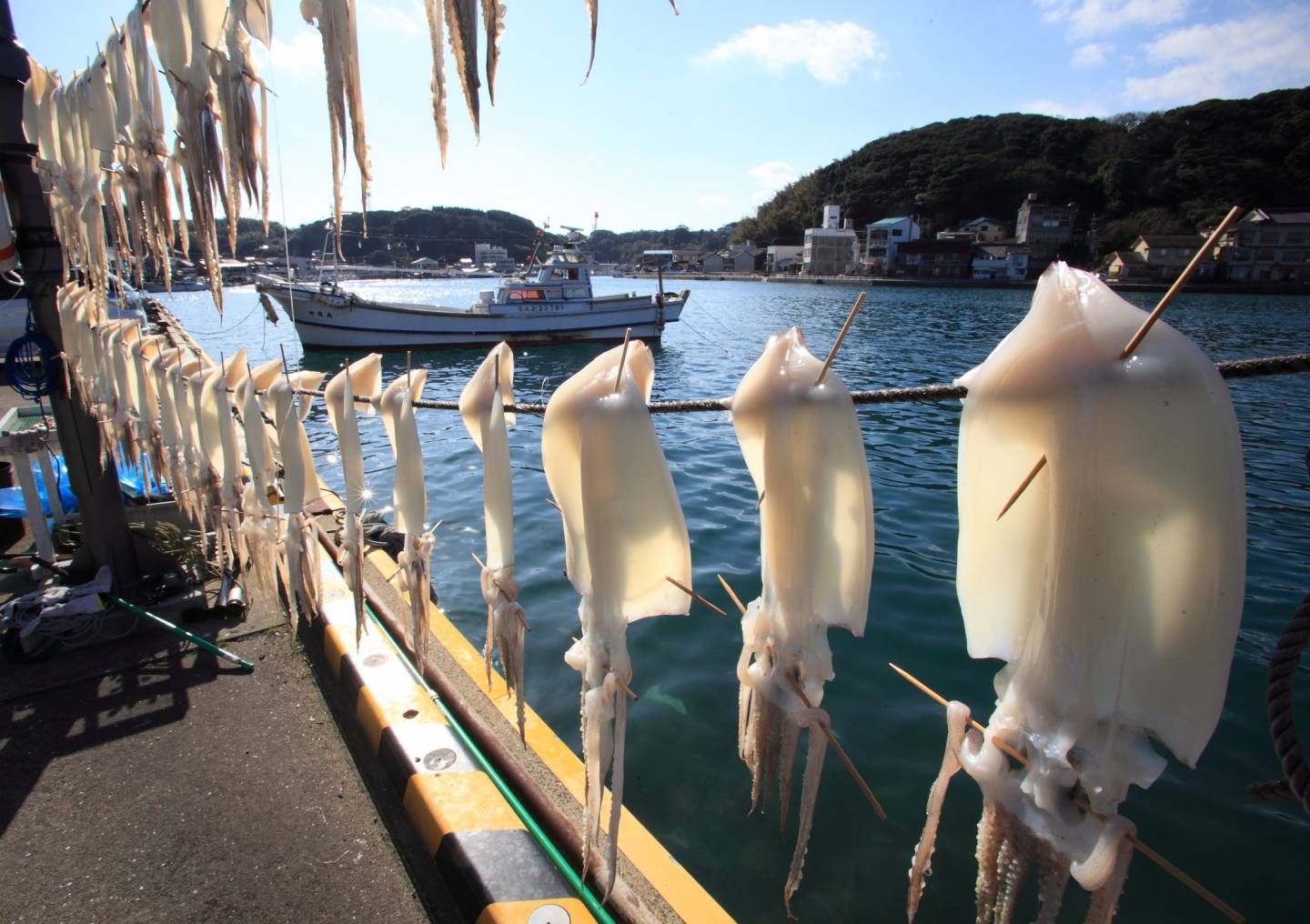 Tintenfische, die zum Trocknen aufgehangen wurden, am Hafen in Karatsu