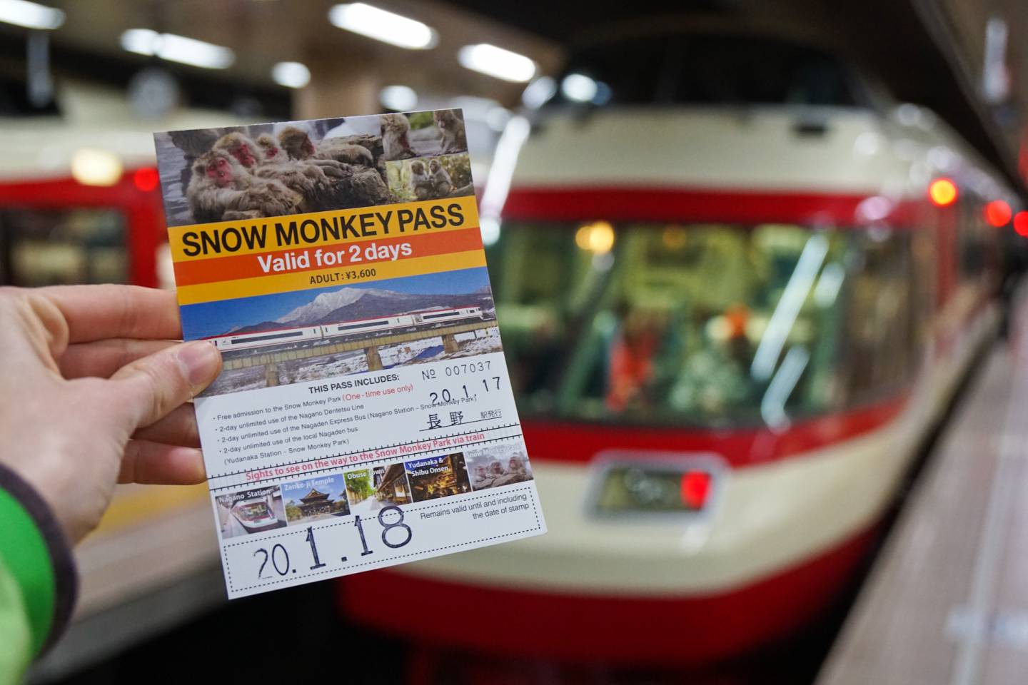 „Snow-Monkey-Pass“