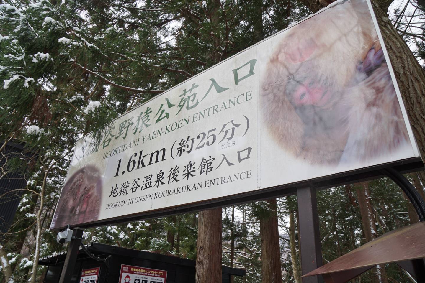 Eingang des Affenparks