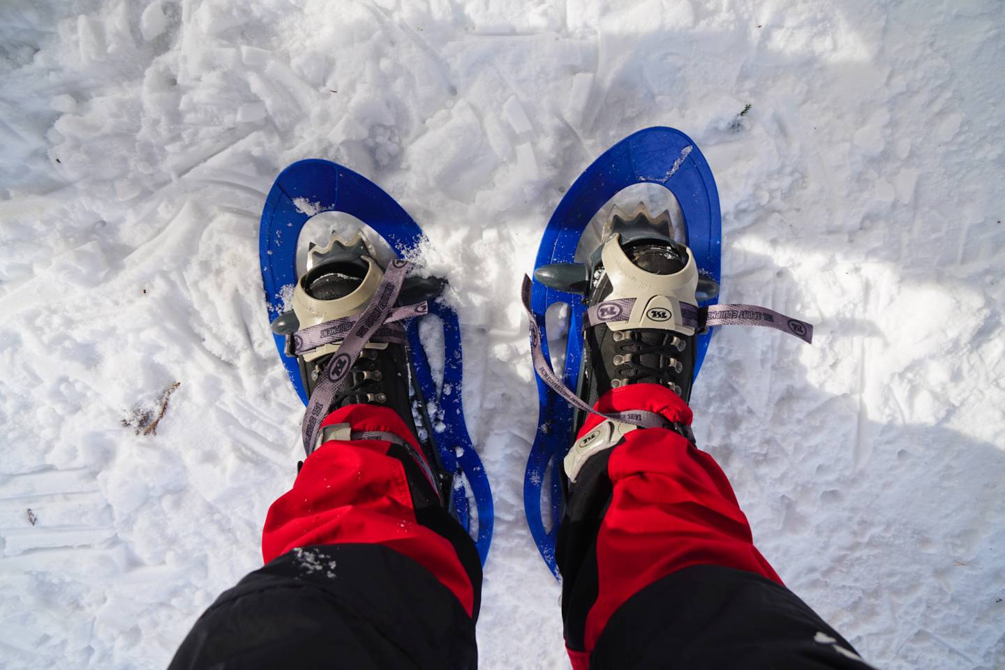 Schneeschuhe in Nagano