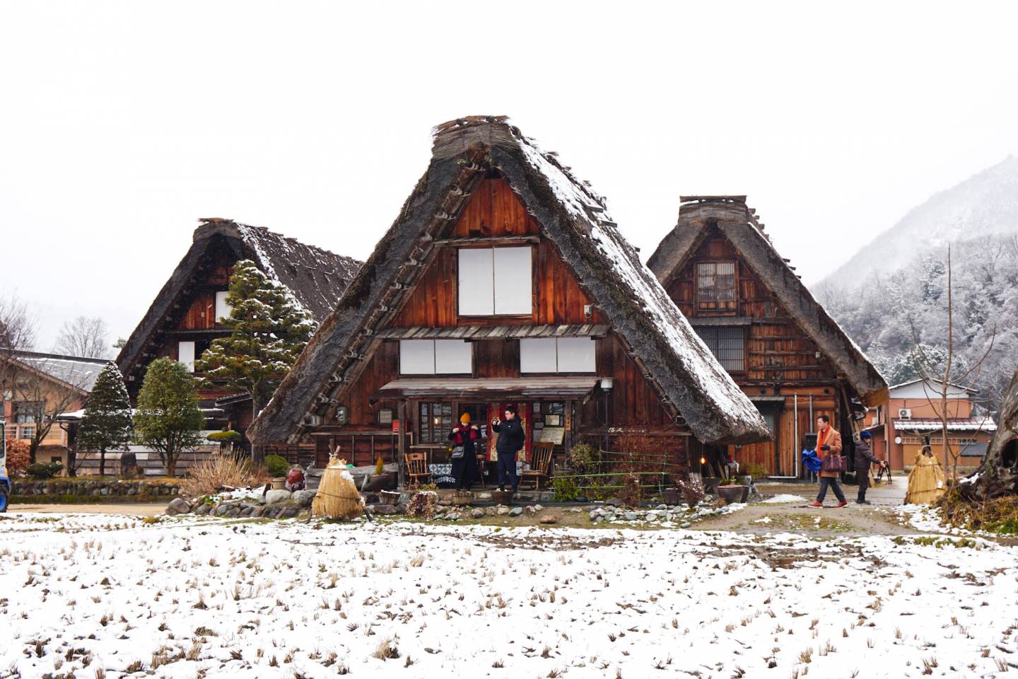 Reetdachhäuser im Dorf Shirakawago