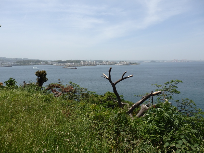 Sarushima bei Yokosuka