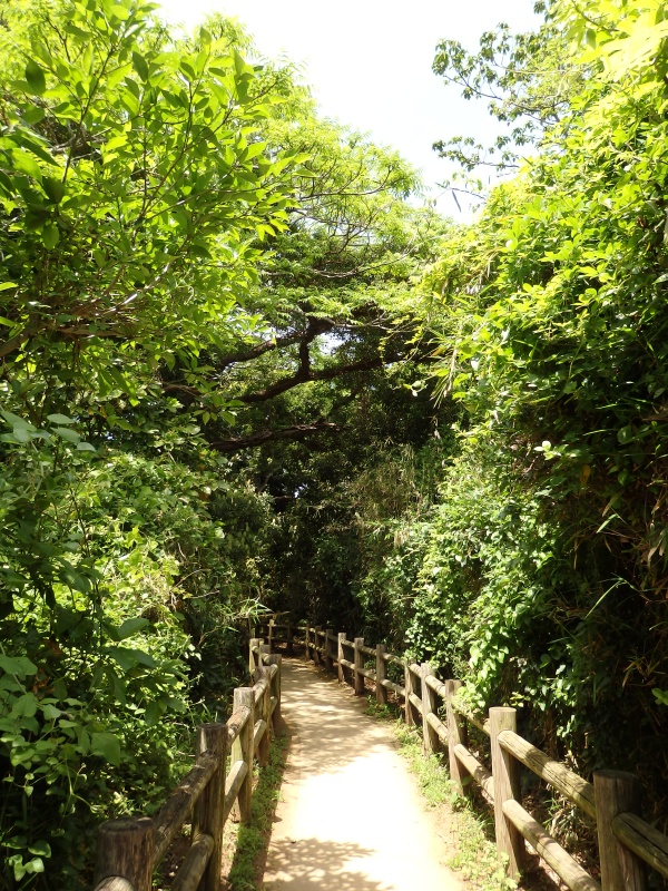 Sarushima bei Yokosuka