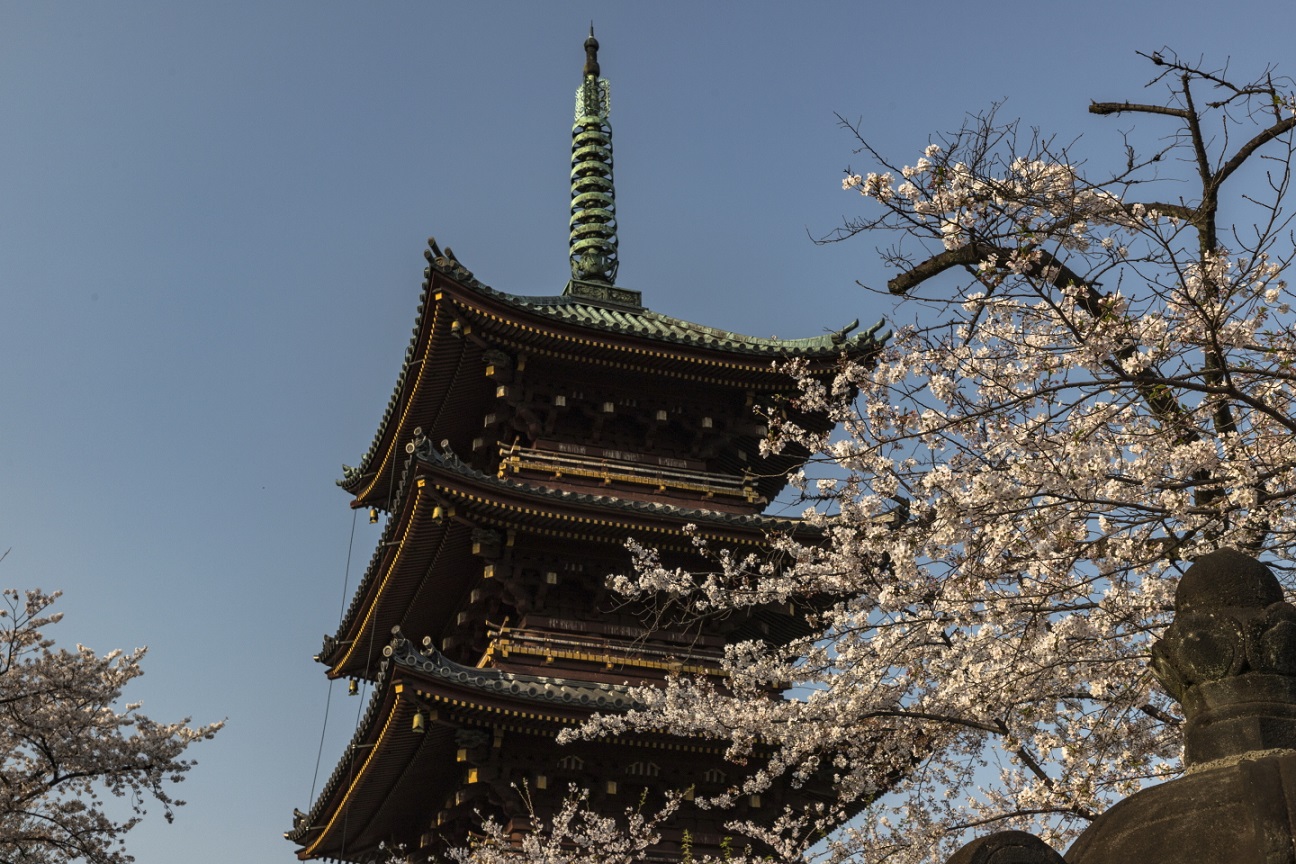 Die Pagode des Ueno Tōshogu-Schreins