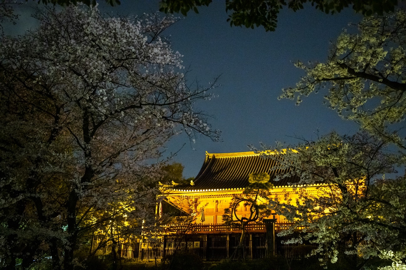 Der hell erleuchtete Kiyomizu Kannon-dō