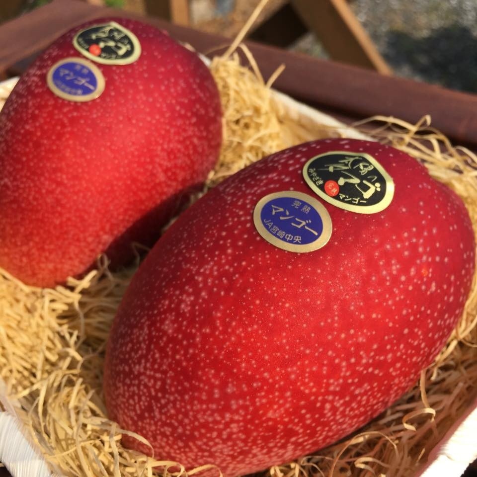 teure japanische Mangos