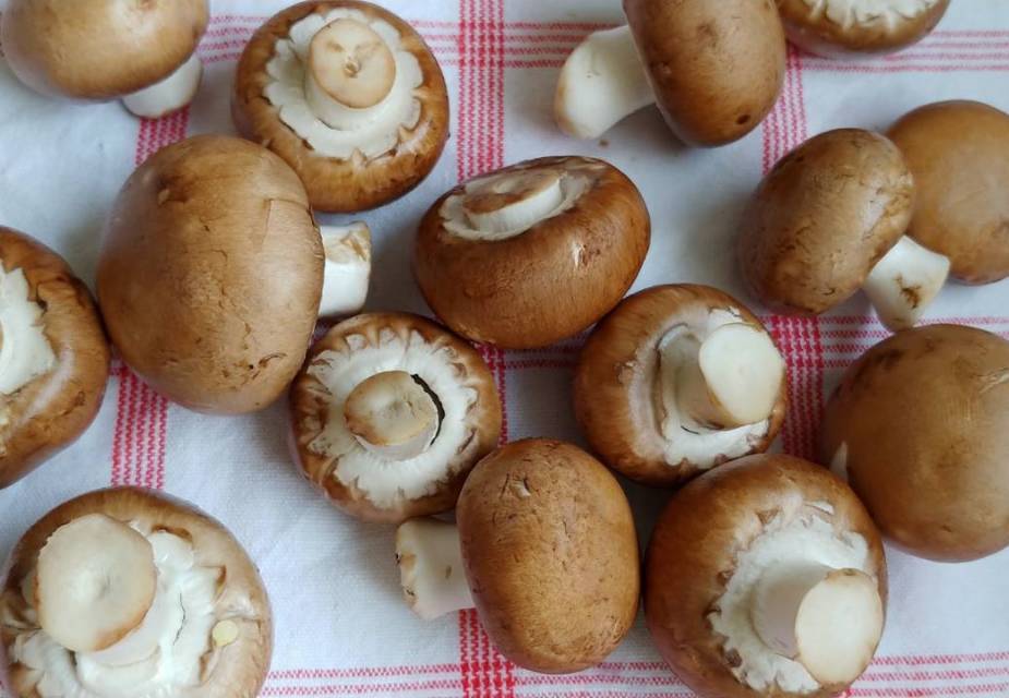 Frittierte Champignons mit japanischem Dip | JAPANDIGEST