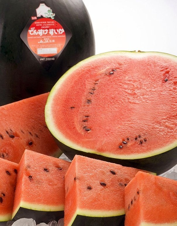 Densuke Wassermelone