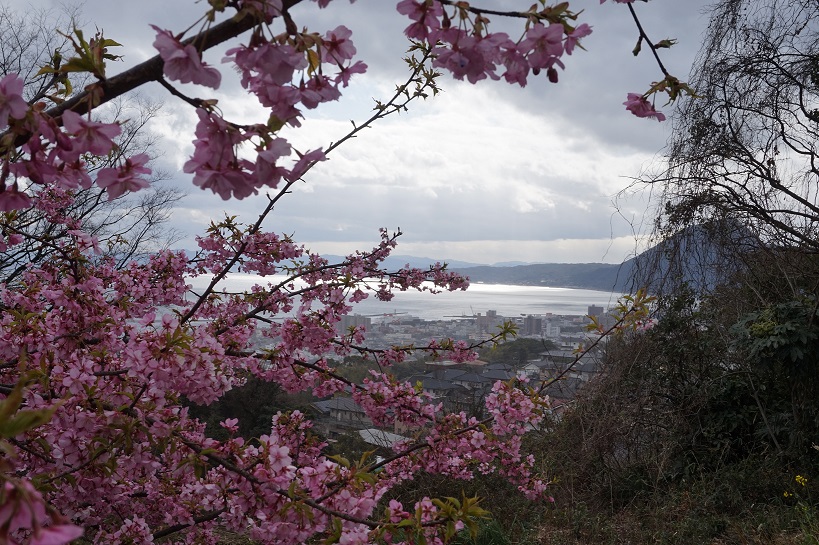 Aussicht auf Beppu mit Kirschblüte