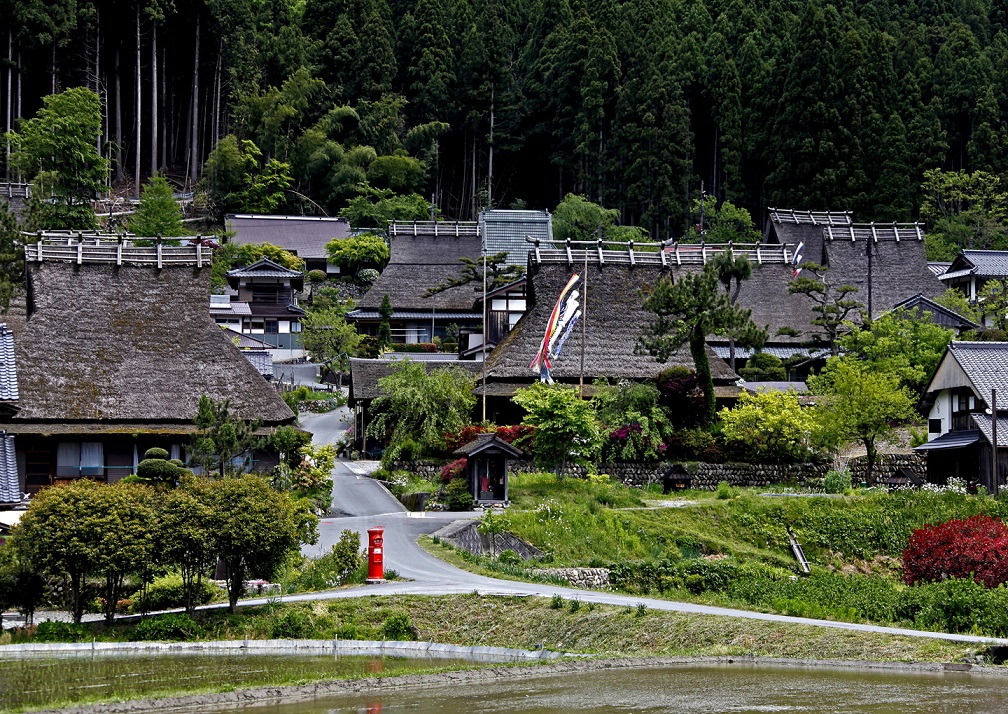 Koi nobori in Kitamura