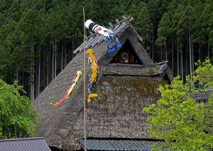 Koi nobori in Kitamura