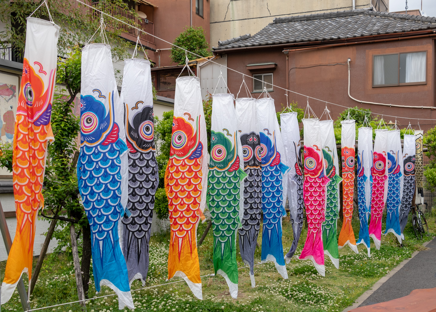 Koi nobori in Kameido, im Tōkyōter Stadtteil Kōtō.