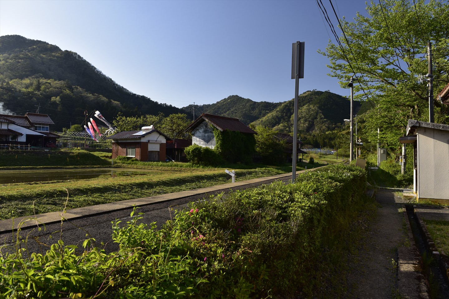 Koi nobori in Yamaguchi