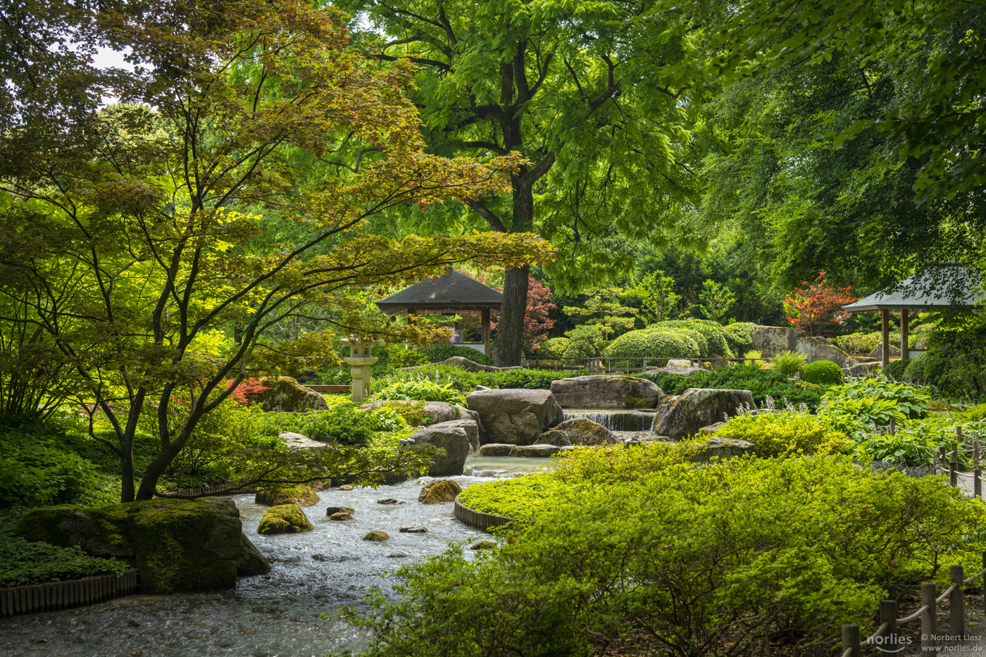 Der Japanische Garten in Augsburg © Foto: Norbert Liesz