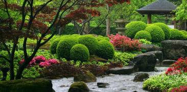 Der japanische Garten in Augsburg.