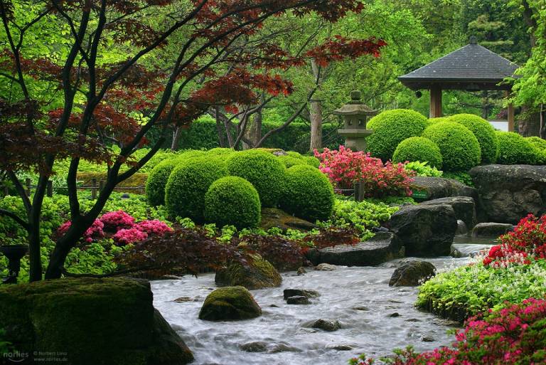 Der japanische Garten in Augsburg.