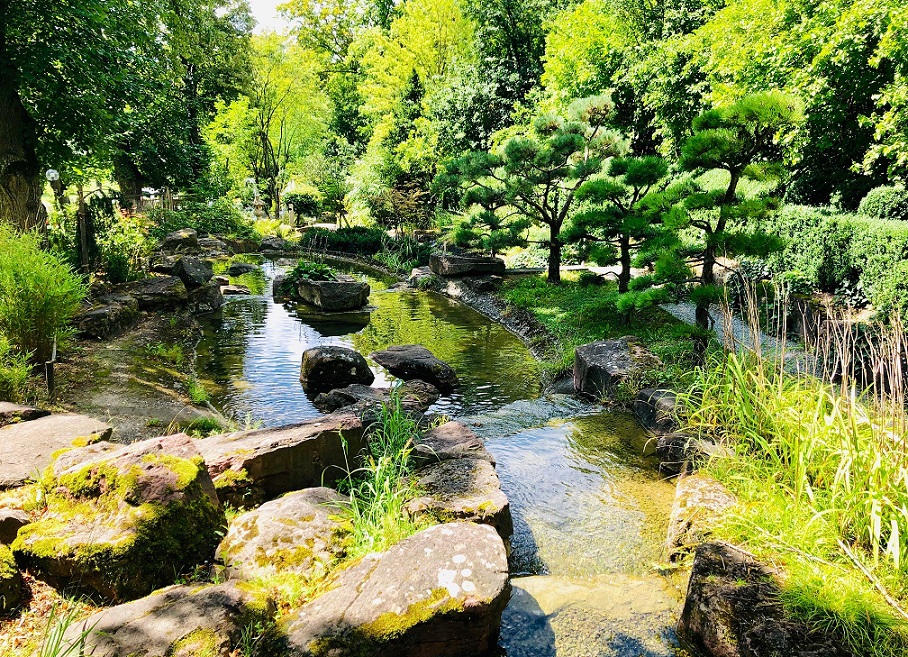 Der Japanische Garten im Kurpark Bad Mergentheim