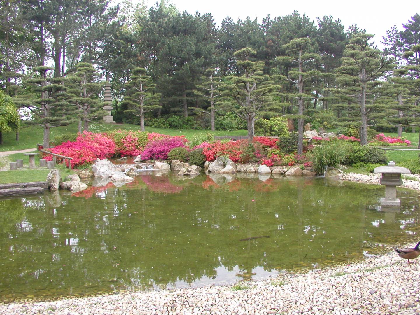Japanischer Garten im Düsseldorfer Nordpark