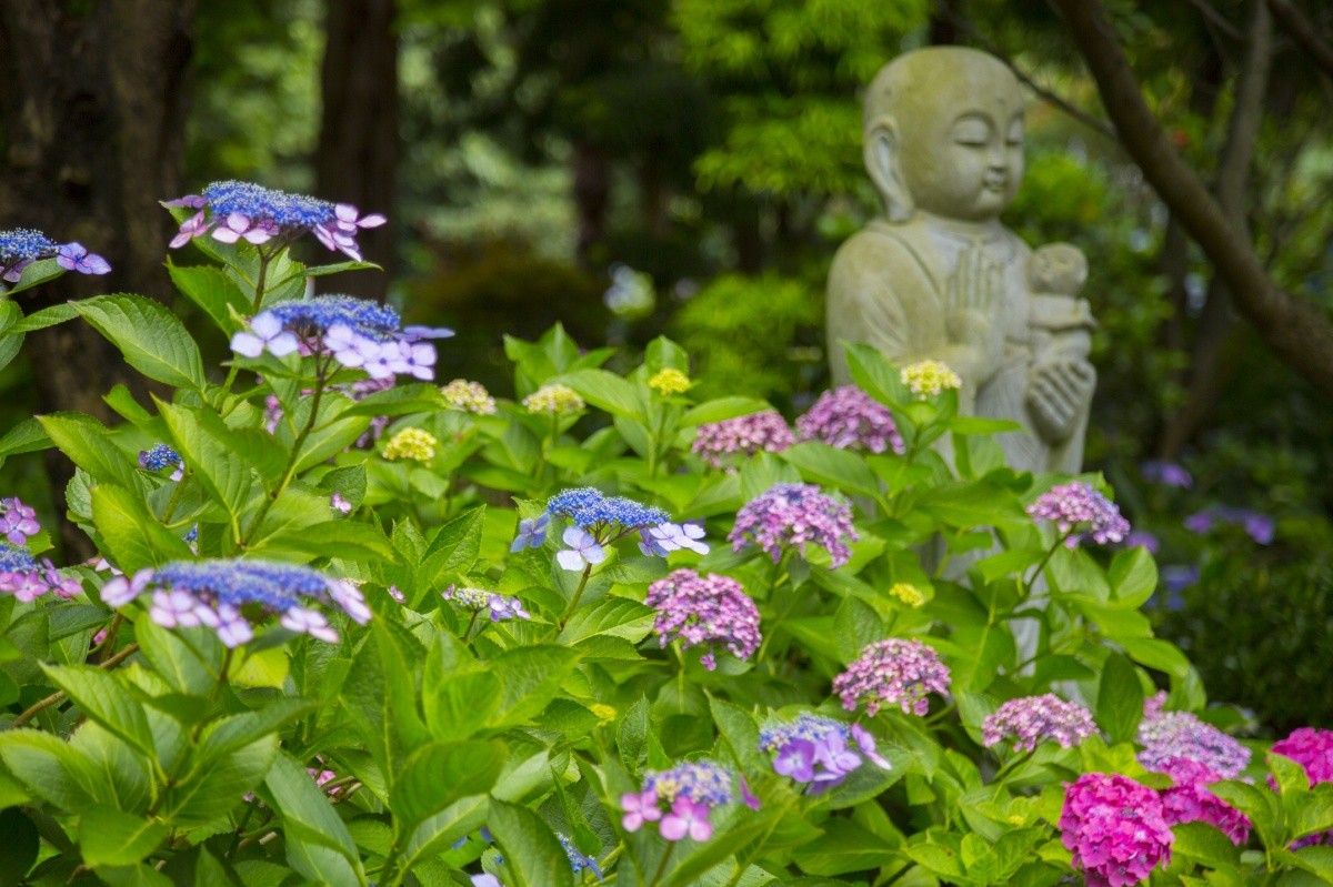 Jizo-Statue und Blumen