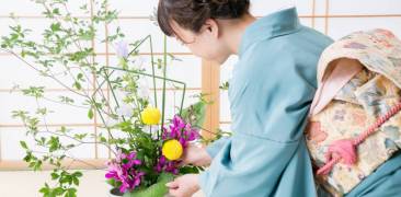 Frau im Kimono arrangiert Ikebana