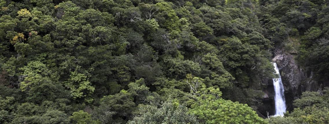 Yakushima
