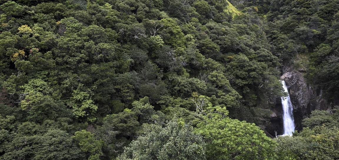 Yakushima