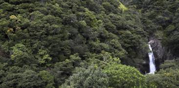 Yakushima