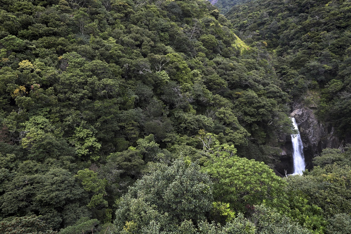 Yakushima