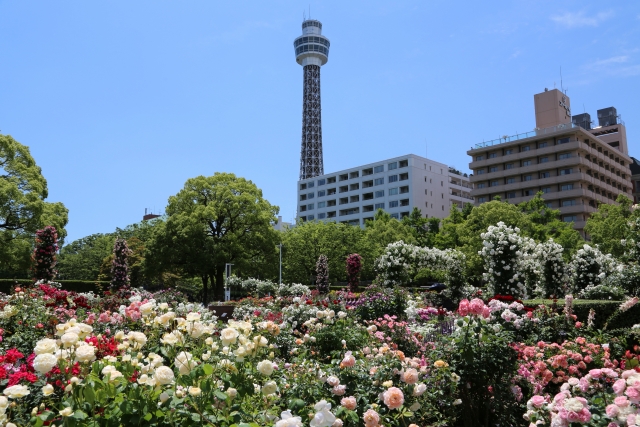 Yamashita Park und Marine Tower