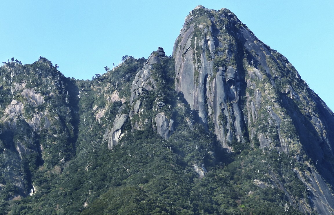 Berg auf Yakushima