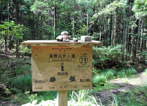 Nyonin-michi auf dem Berg Kōya