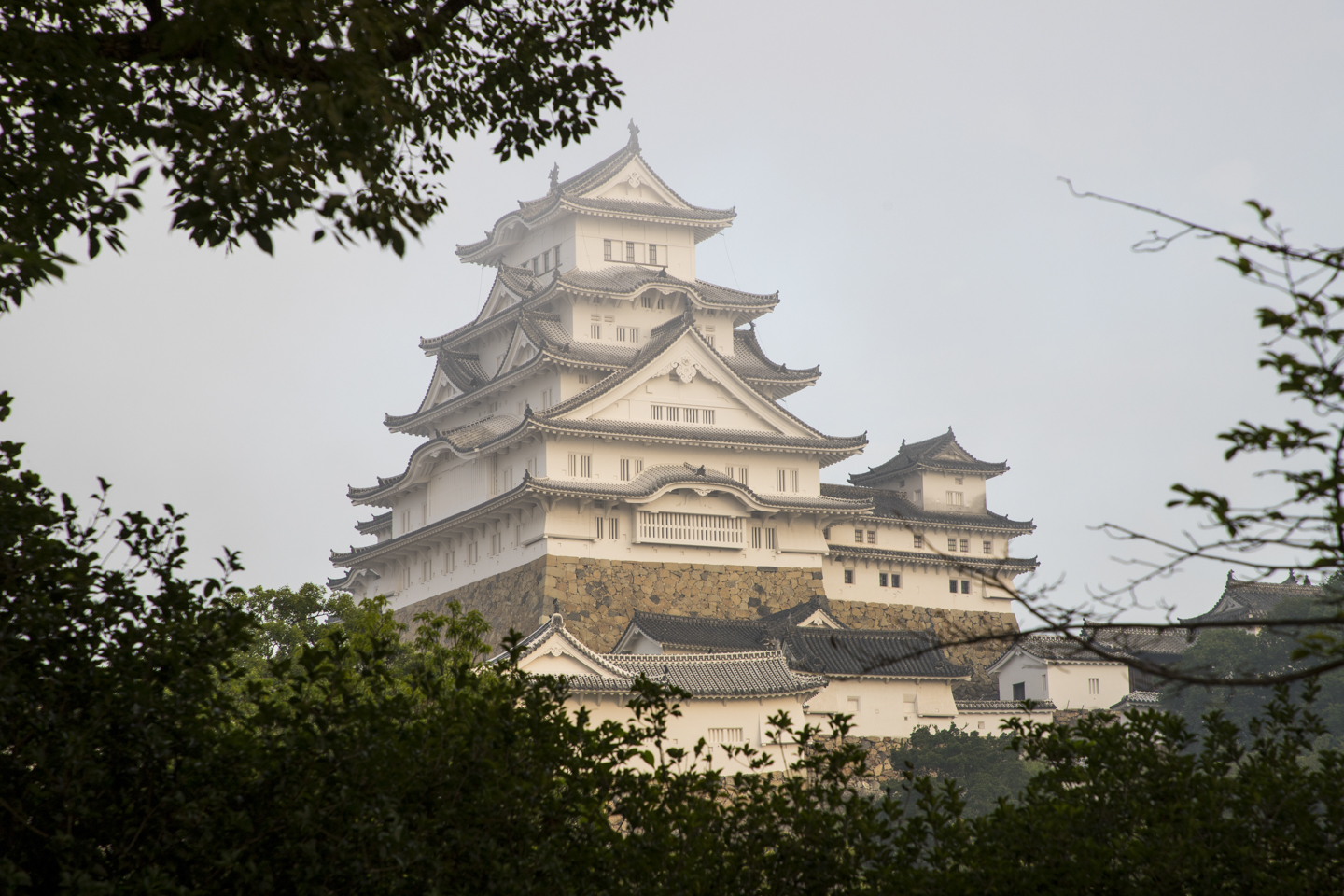 Burg Himeji im Morgennebel