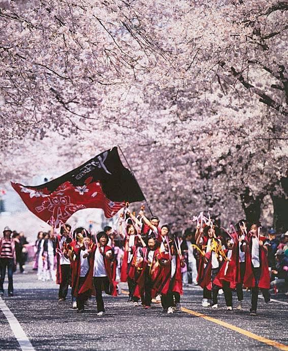 „Sakura YOSAKOI“ in Tomioka (Präfektur Fukushima)