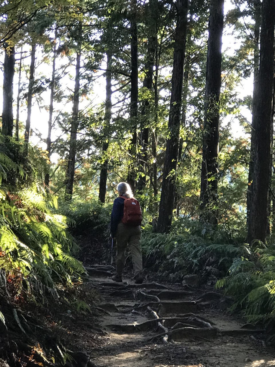 Pilgern in Kumano