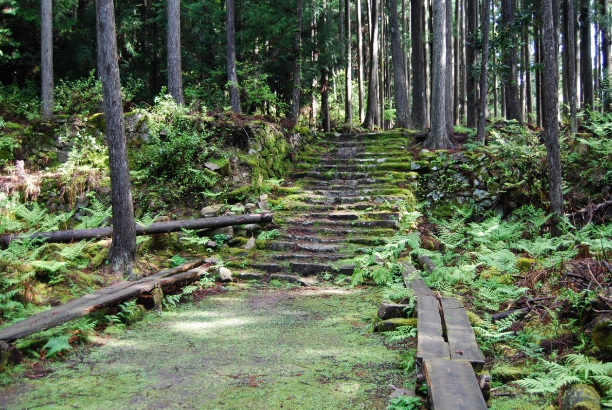 Bänke auf dem Nakahechi-Weg