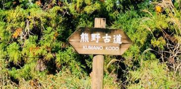 Kumano Kodō Weg