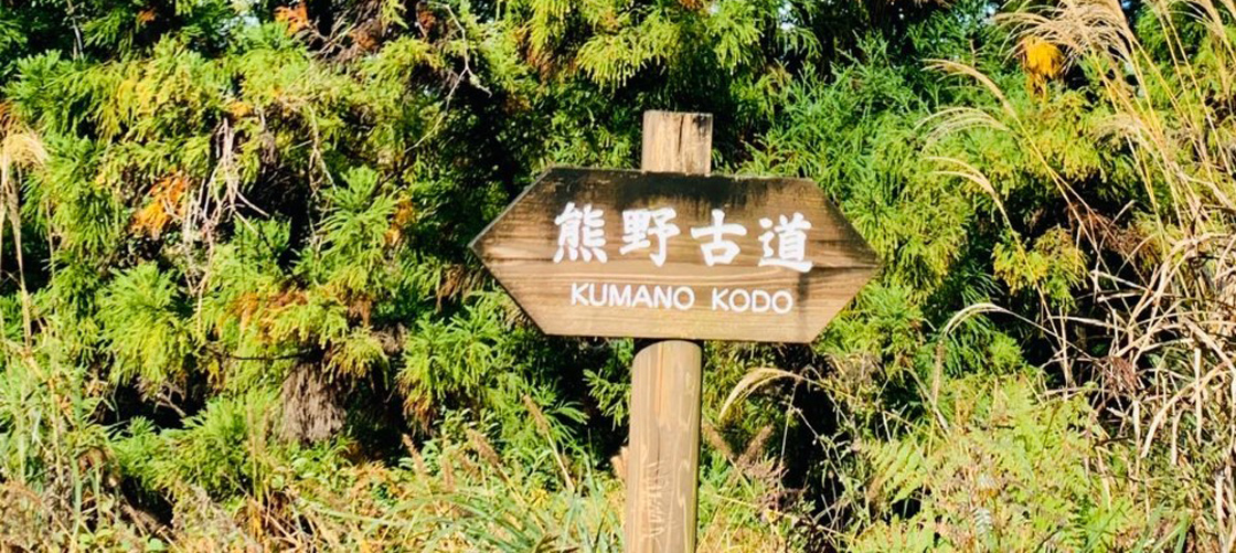 Kumano Kodō Weg