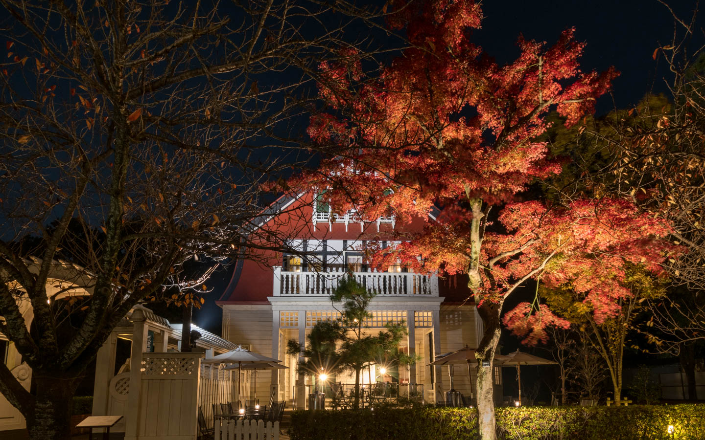 Herbstlaub vor historischem Haus in Koganei