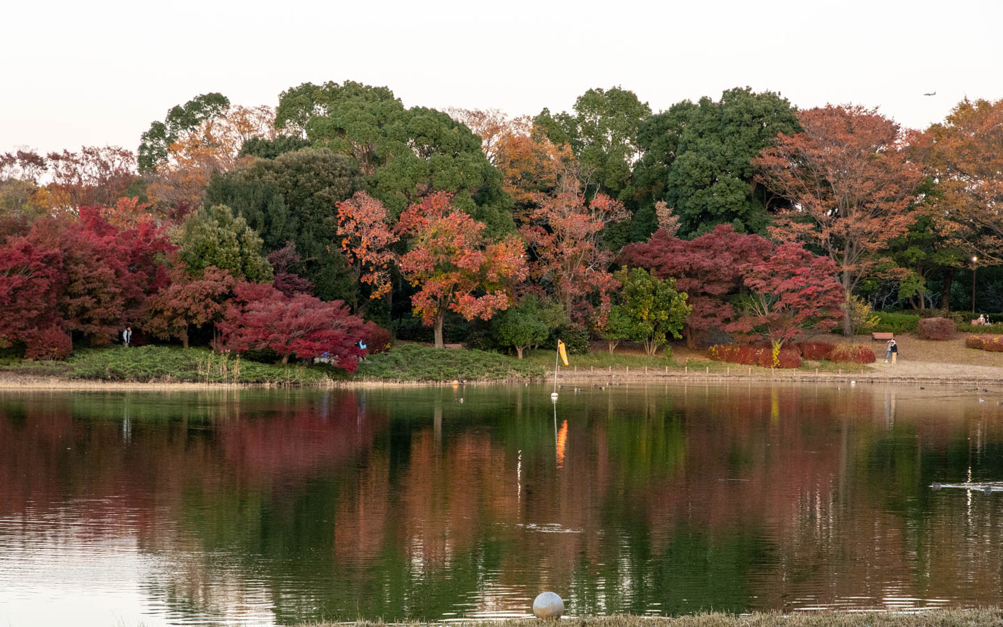 Herbstlaub am Teich in Tachikawa