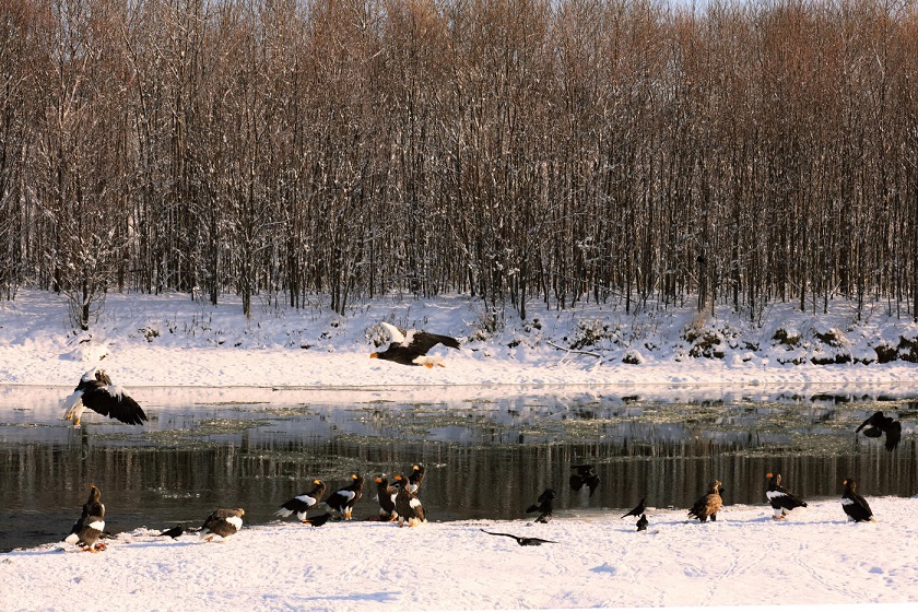 Embetsu, Hokkaido